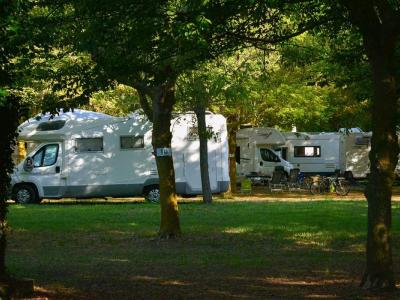 Camper parcheggiati in un'area verde, circondati da alberi.