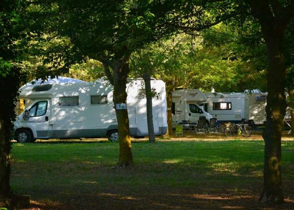 Camper parcheggiati in un'area verde, circondati da alberi.