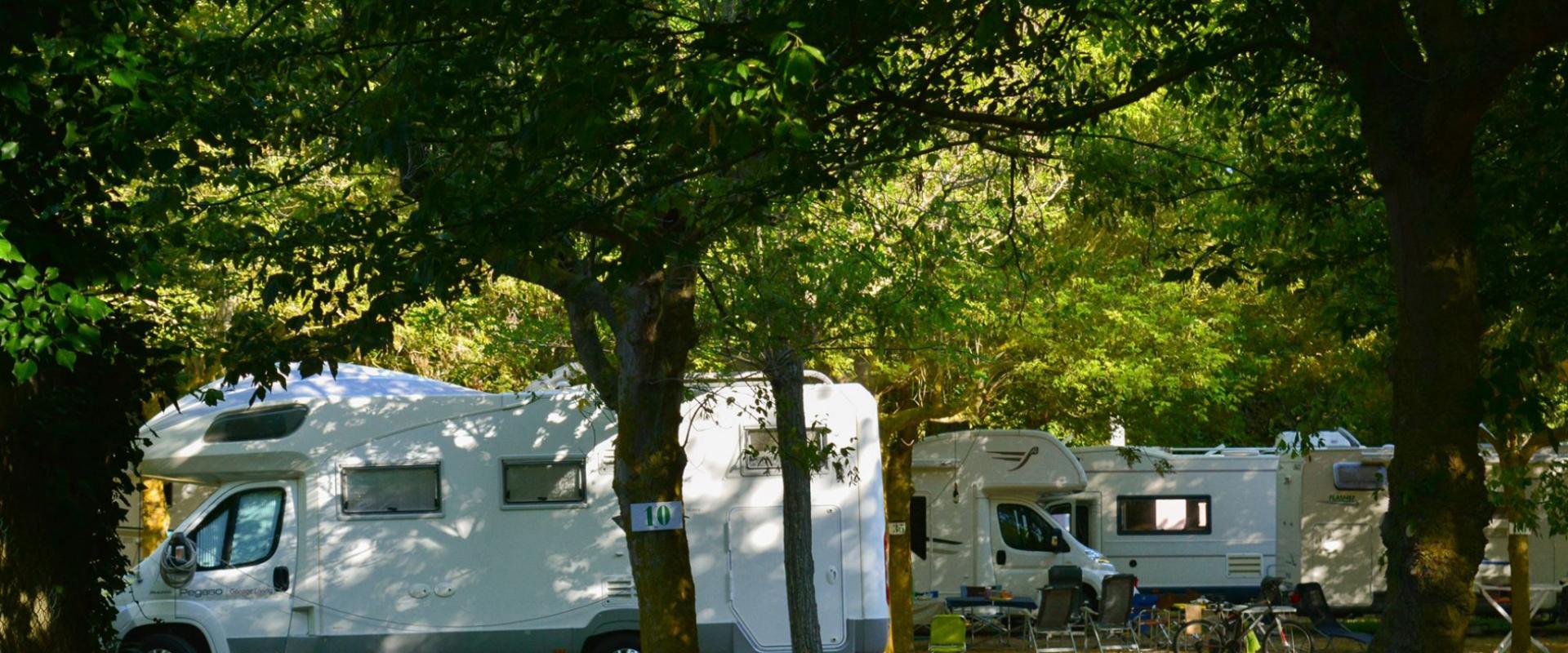 Camper parcheggiati in un campeggio ombreggiato da alberi, con sedie e biciclette all'esterno.