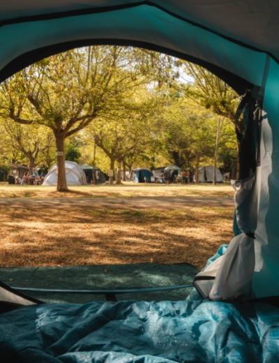 Vista dall'interno di una tenda in un campeggio alberato, con altre tende visibili.