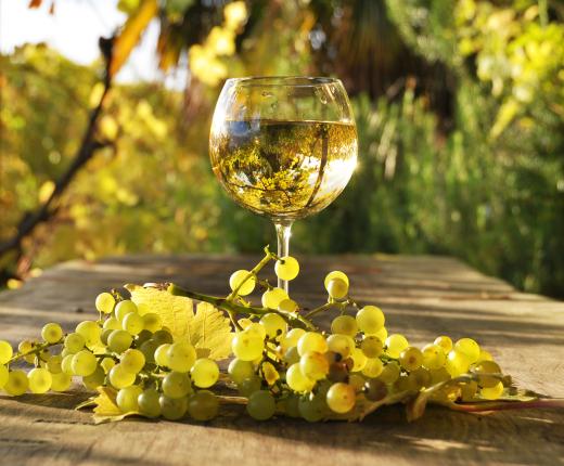 Calice di vino bianco e grappolo d'uva su tavolo di legno al sole.